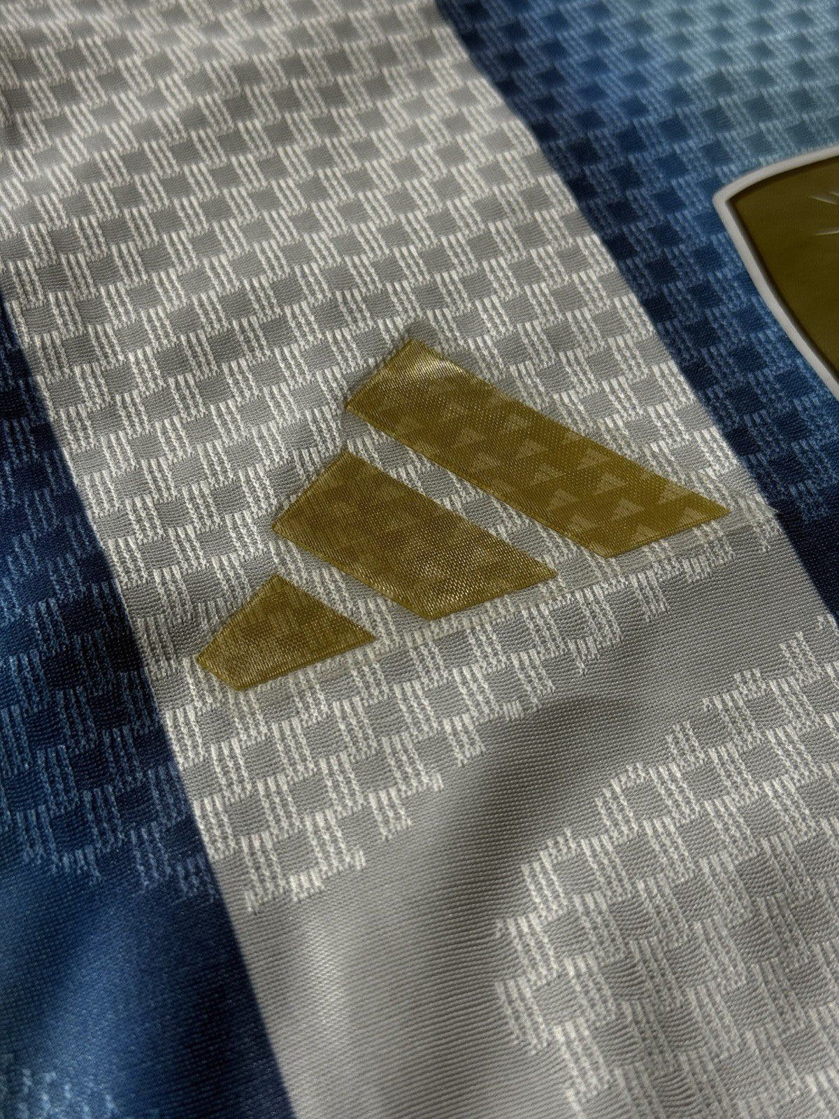 Argentina World Cup 2026 Soccer Jersey Player Version Premium Quality